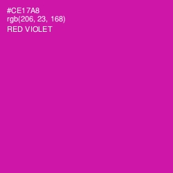 #CE17A8 - Red Violet Color Image