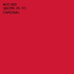 #CE1833 - Cardinal Color Image