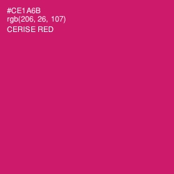 #CE1A6B - Cerise Red Color Image