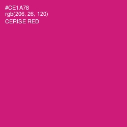 #CE1A78 - Cerise Red Color Image