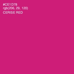 #CE1D78 - Cerise Red Color Image