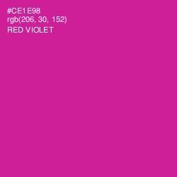 #CE1E98 - Red Violet Color Image