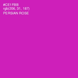 #CE1FBB - Persian Rose Color Image