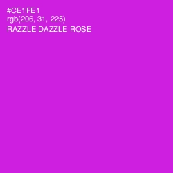 #CE1FE1 - Razzle Dazzle Rose Color Image