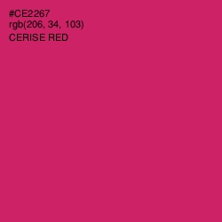 #CE2267 - Cerise Red Color Image