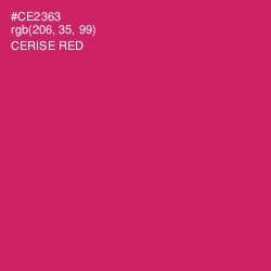 #CE2363 - Cerise Red Color Image