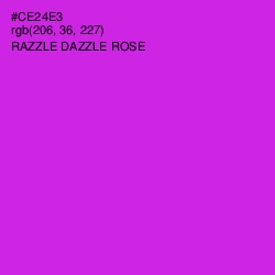 #CE24E3 - Razzle Dazzle Rose Color Image