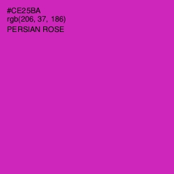 #CE25BA - Persian Rose Color Image