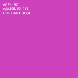 #CE41BC - Brilliant Rose Color Image
