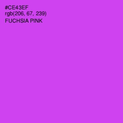 #CE43EF - Fuchsia Pink Color Image