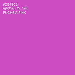 #CE4BC3 - Fuchsia Pink Color Image