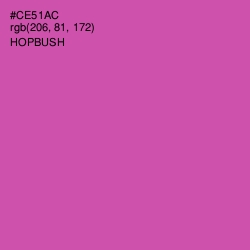 #CE51AC - Hopbush Color Image