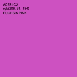 #CE51C2 - Fuchsia Pink Color Image