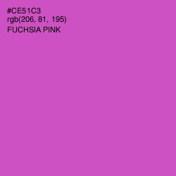 #CE51C3 - Fuchsia Pink Color Image