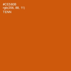 #CE580B - Tenn Color Image