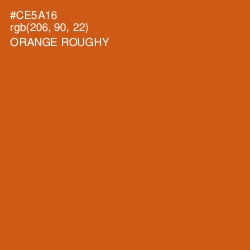 #CE5A16 - Orange Roughy Color Image