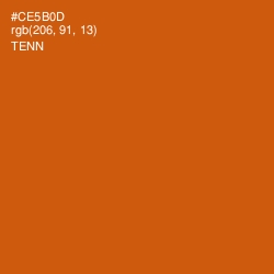 #CE5B0D - Tenn Color Image