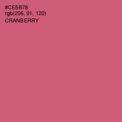 #CE5B78 - Cranberry Color Image