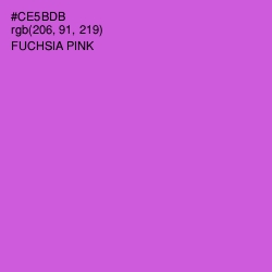 #CE5BDB - Fuchsia Pink Color Image