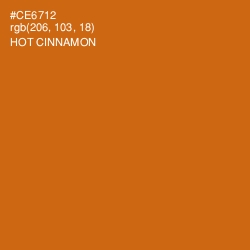 #CE6712 - Hot Cinnamon Color Image