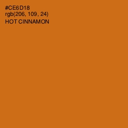 #CE6D18 - Hot Cinnamon Color Image