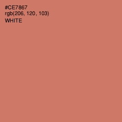 #CE7867 - Contessa Color Image