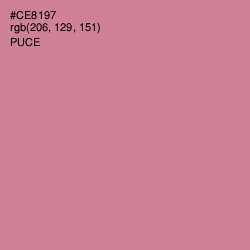 #CE8197 - Puce Color Image