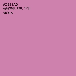 #CE81AD - Viola Color Image