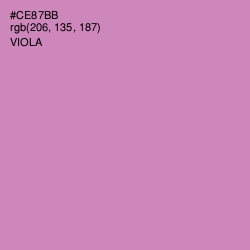 #CE87BB - Viola Color Image