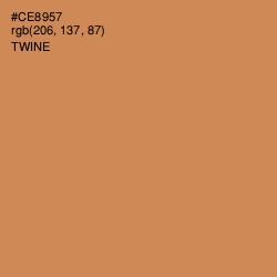 #CE8957 - Twine Color Image