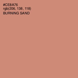 #CE8A76 - Burning Sand Color Image