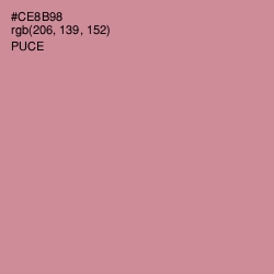 #CE8B98 - Puce Color Image