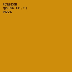 #CE8D0B - Pizza Color Image