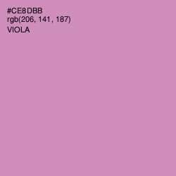 #CE8DBB - Viola Color Image