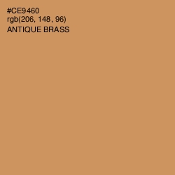 #CE9460 - Antique Brass Color Image