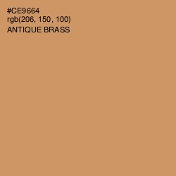 #CE9664 - Antique Brass Color Image