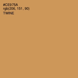 #CE975A - Twine Color Image