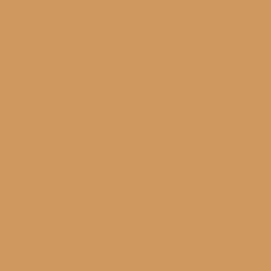 #CE985E - Twine Color Image