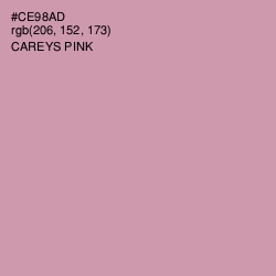 #CE98AD - Careys Pink Color Image