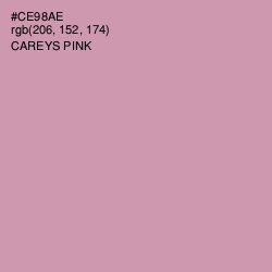 #CE98AE - Careys Pink Color Image