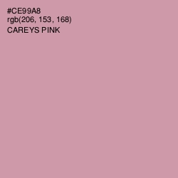 #CE99A8 - Careys Pink Color Image