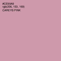 #CE99A9 - Careys Pink Color Image