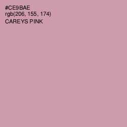 #CE9BAE - Careys Pink Color Image