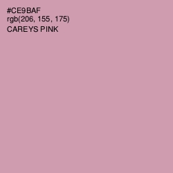 #CE9BAF - Careys Pink Color Image