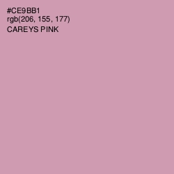 #CE9BB1 - Careys Pink Color Image