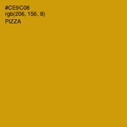 #CE9C08 - Pizza Color Image