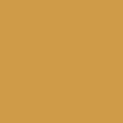 #CE9C48 - Tussock Color Image