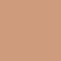 #CE9C7C - Whiskey Color Image