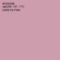 #CE9DAB - Careys Pink Color Image
