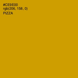 #CE9E00 - Pizza Color Image